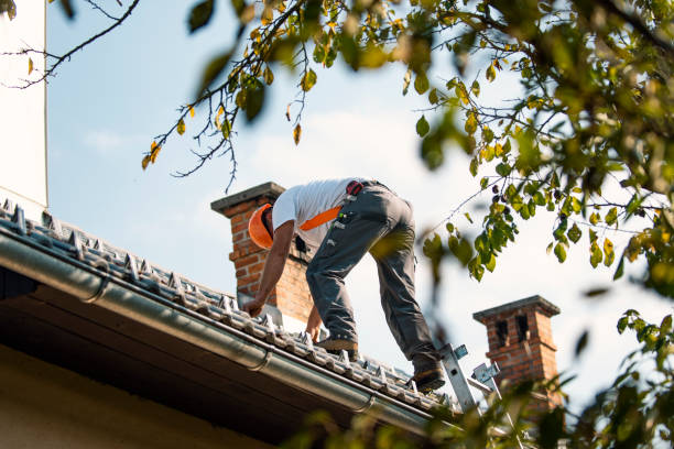 Best Tile Roofing Contractor  in Guerneville, CA