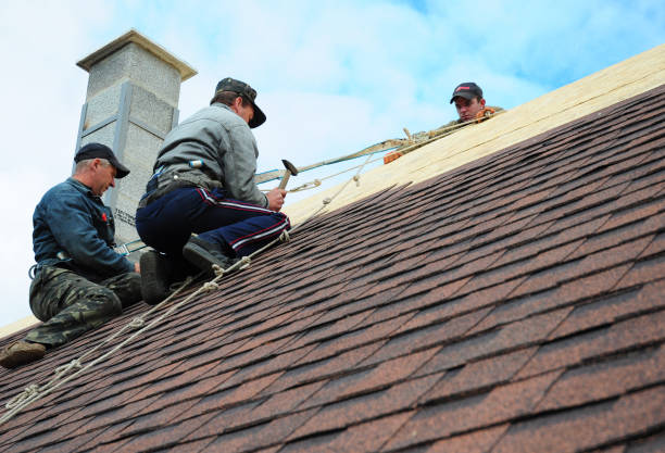 Best Shingle Roofing Installation  in Guerneville, CA